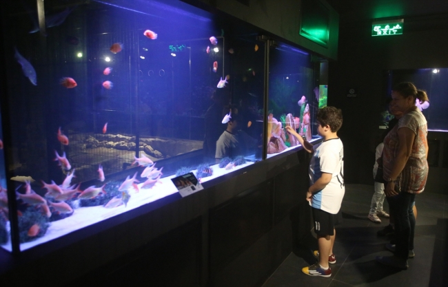 Filistin Akvaryumu, Batı Şeria'nın "denize açılan penceresi"